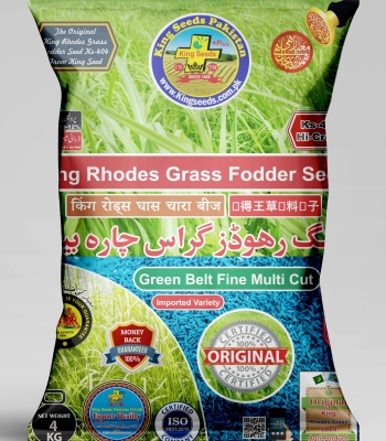 King Rhodes Grass Seed