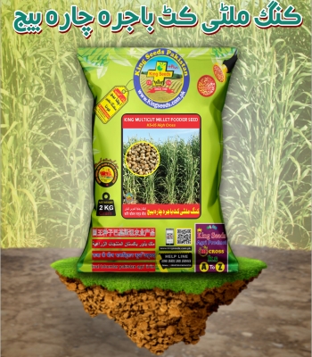 King Multicut Millet Fodder Seed