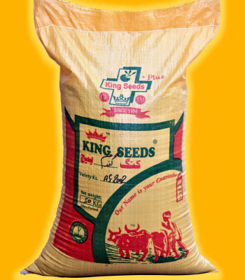 King Wheat Seed