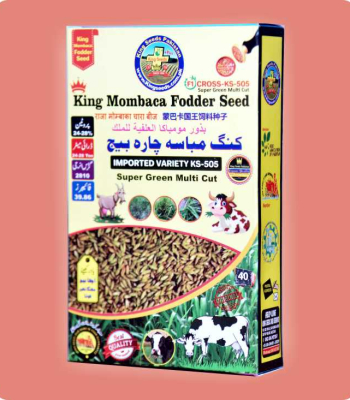 King Mombasa Fodder Seed