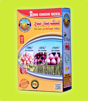 King Onion Seed