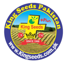 king seeds logo