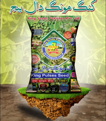 King Mong Seed