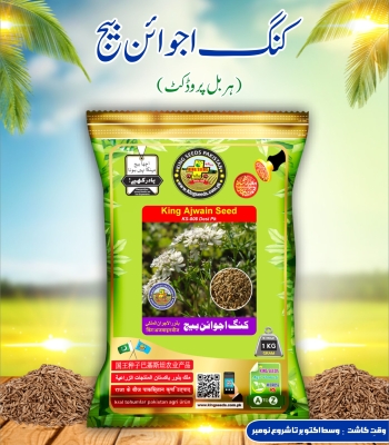 King Ajwain Seed