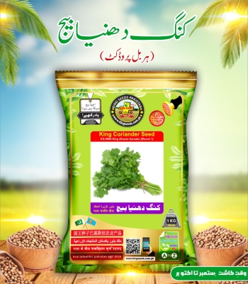 King Dhania Seed