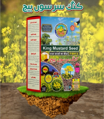 King Mustard Seed