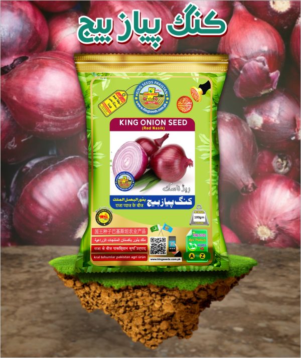 Onion Red Nasik 100gm scaled