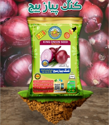 King Onion (Red Nasik) Seed